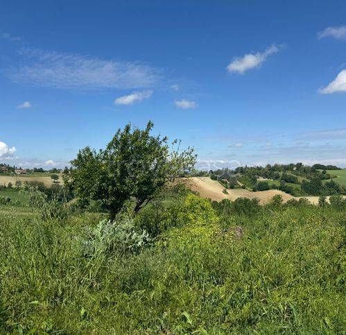 immagine annuncio 3 di 7