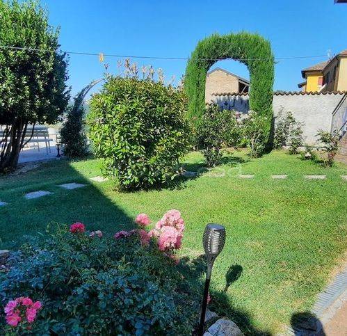 immagine annuncio 1 di 11