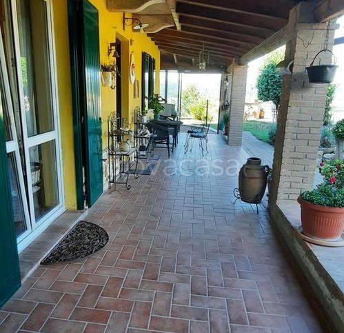 immagine annuncio 8 di 11