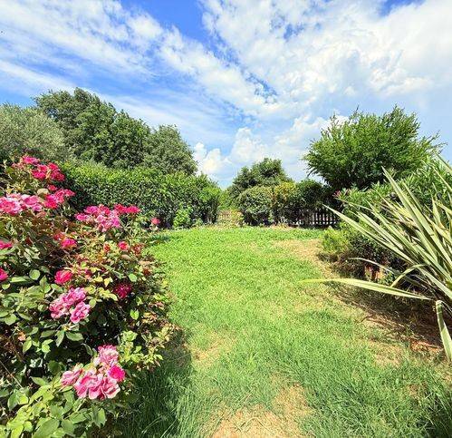 immagine annuncio 1 di 13