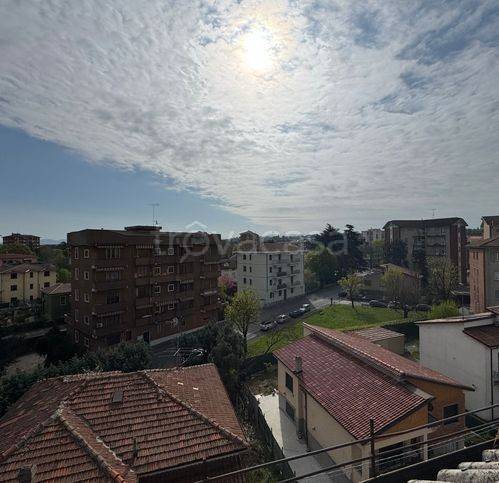 immagine annuncio 8 di 14