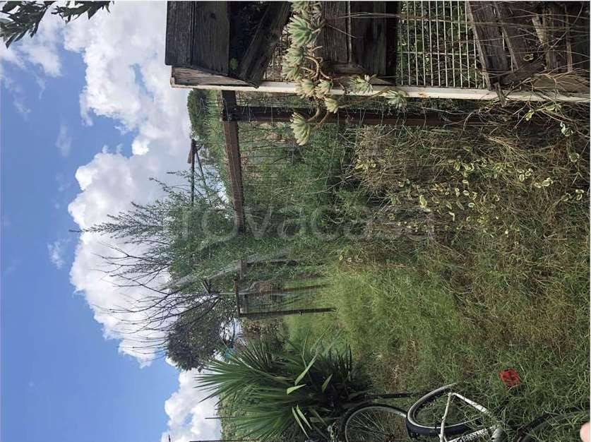 immagine annuncio 4 di 14