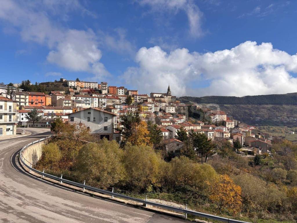 immagine annuncio 9 di 12