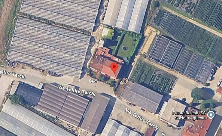 immagine annuncio 9 di 13