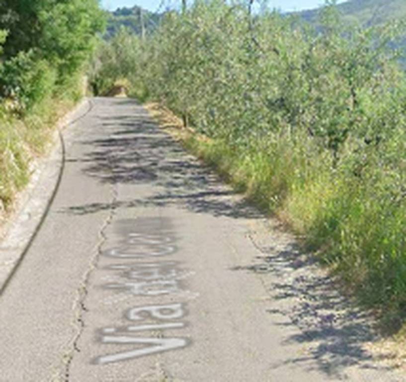 immagine annuncio 6 di 14