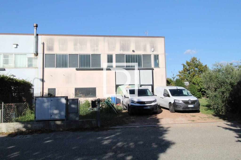 immagine annuncio 3 di 15