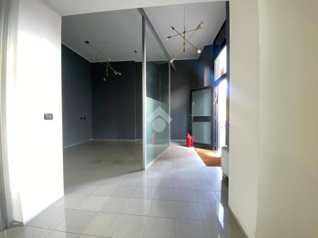 immagine annuncio 5 di 14