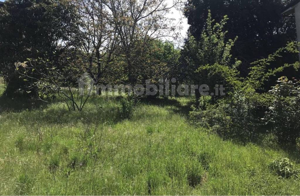 immagine annuncio 7 di 8