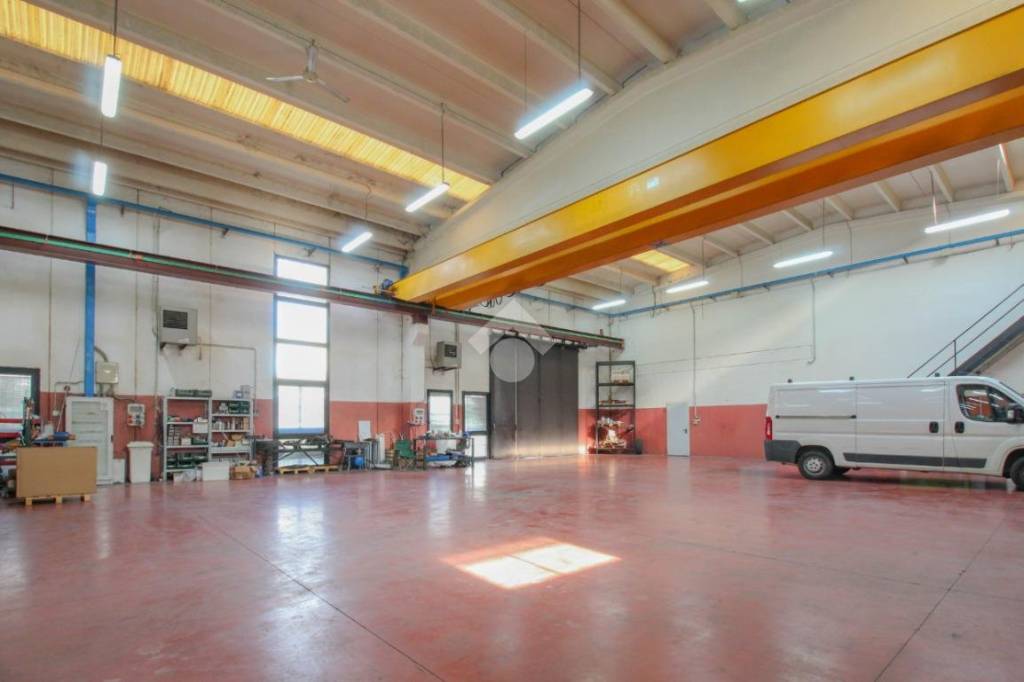 immagine annuncio 7 di 15