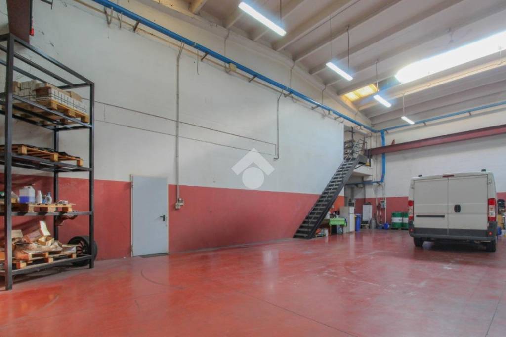 immagine annuncio 9 di 15