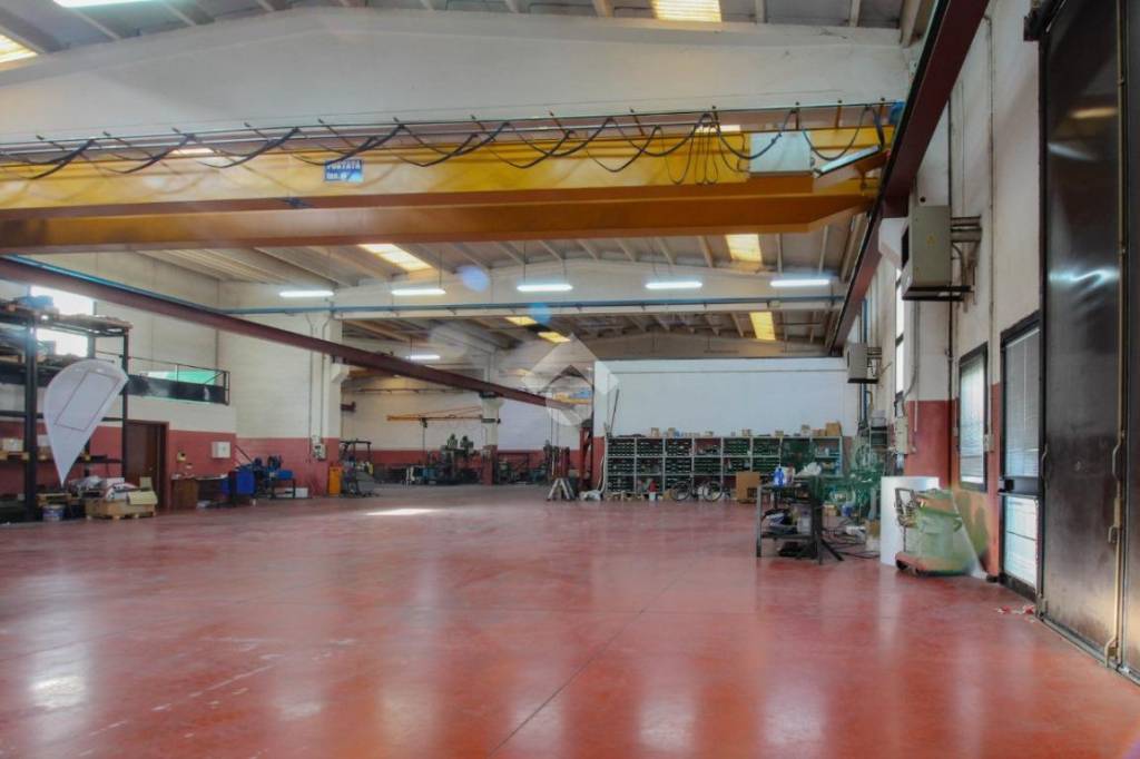 immagine annuncio 10 di 15