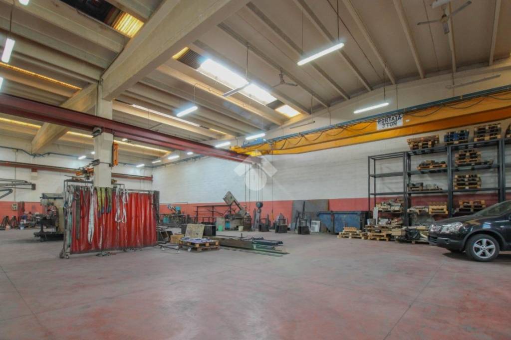 immagine annuncio 12 di 15