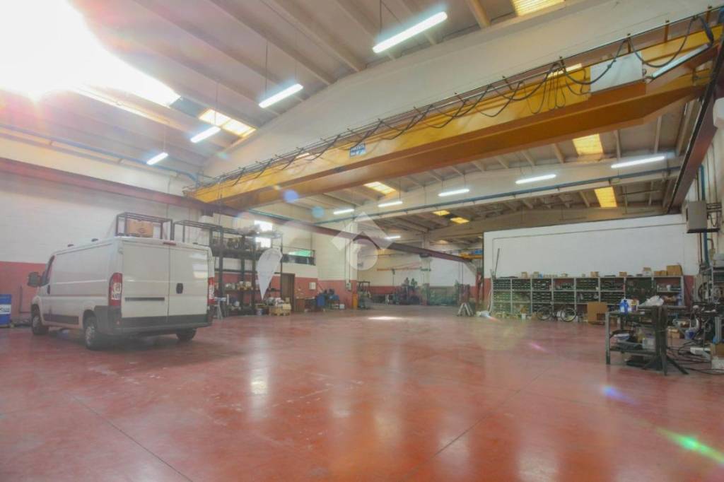 immagine annuncio 13 di 15