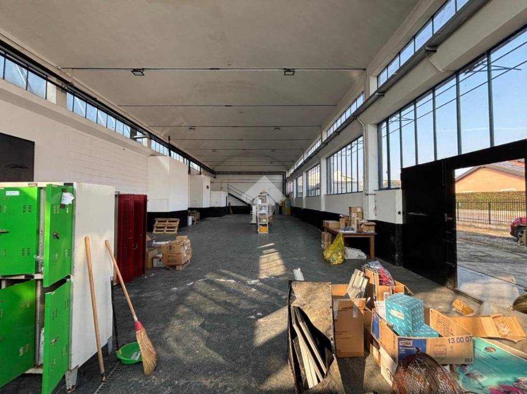 immagine annuncio 3 di 15