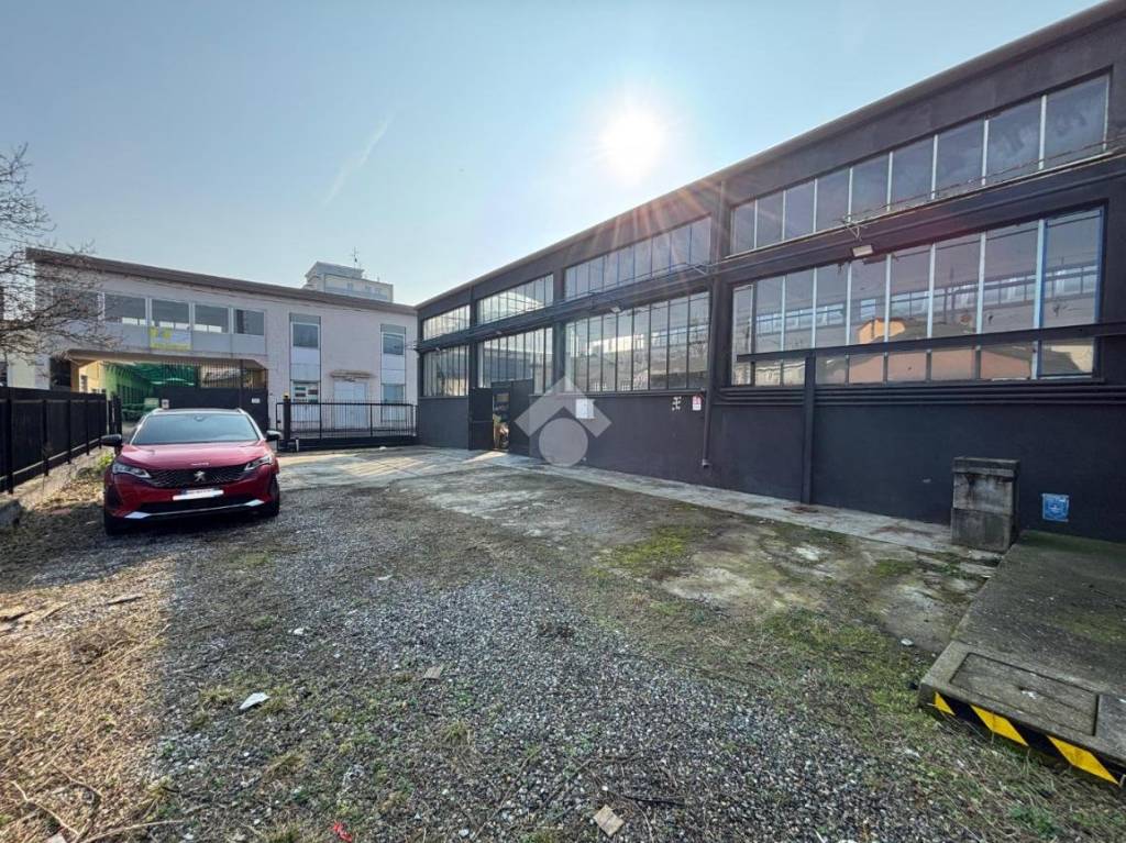 immagine annuncio 6 di 15