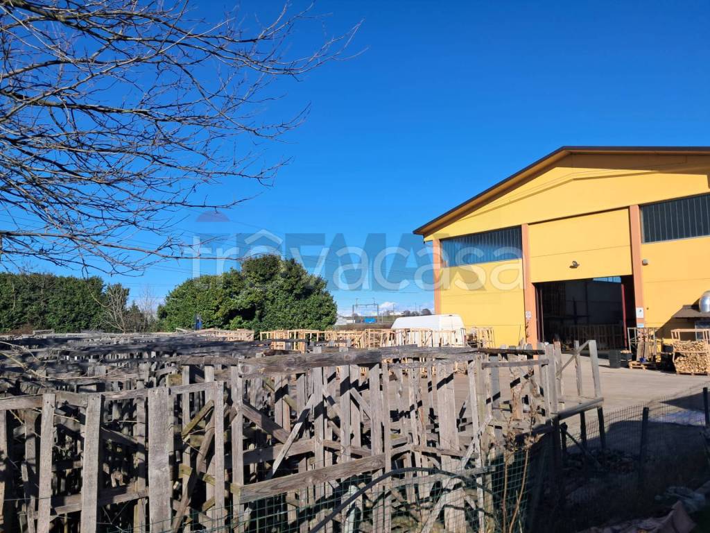 immagine annuncio 7 di 15