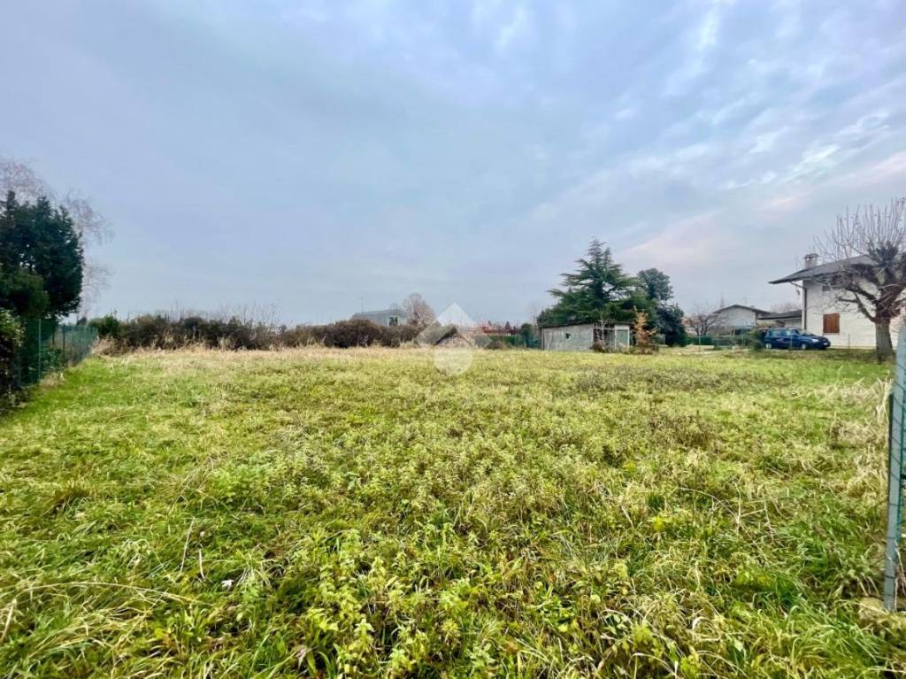 immagine annuncio 5 di 7