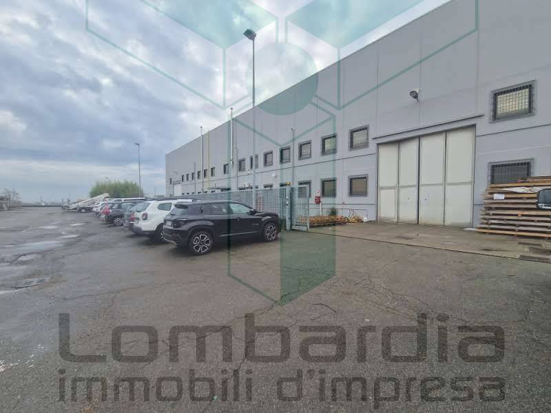 immagine annuncio 5 di 8