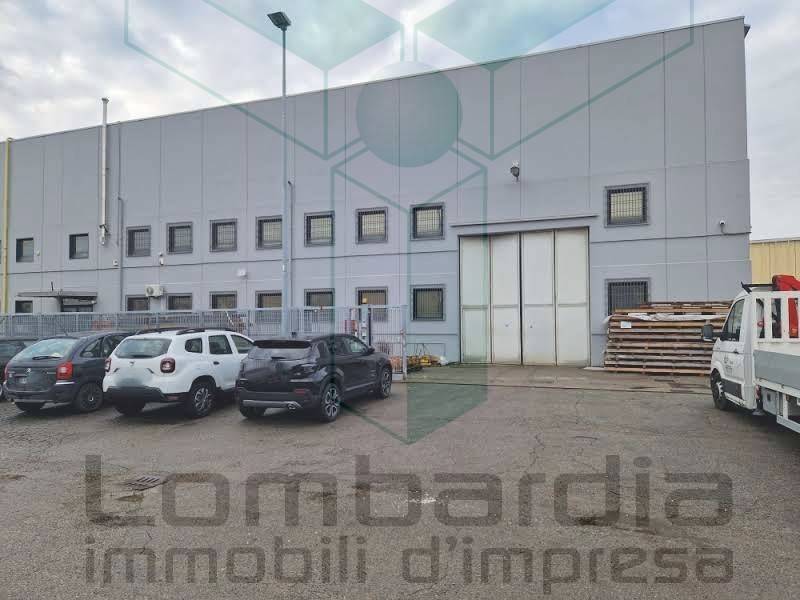 immagine annuncio 6 di 8