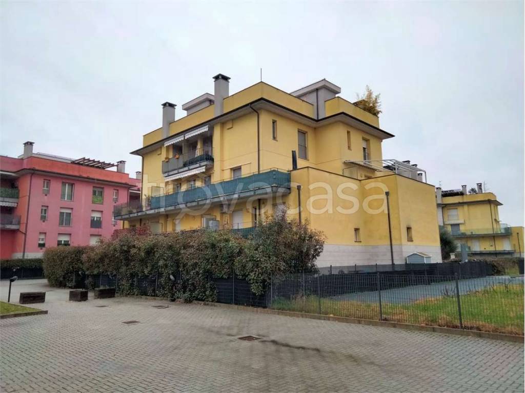 immagine annuncio 2 di 15