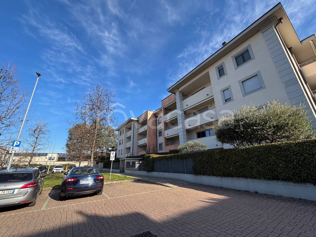 immagine annuncio 3 di 15