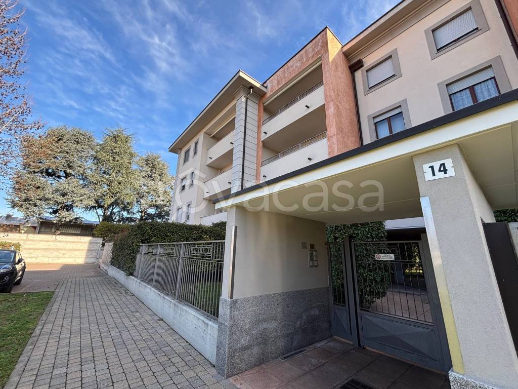 immagine annuncio 4 di 15