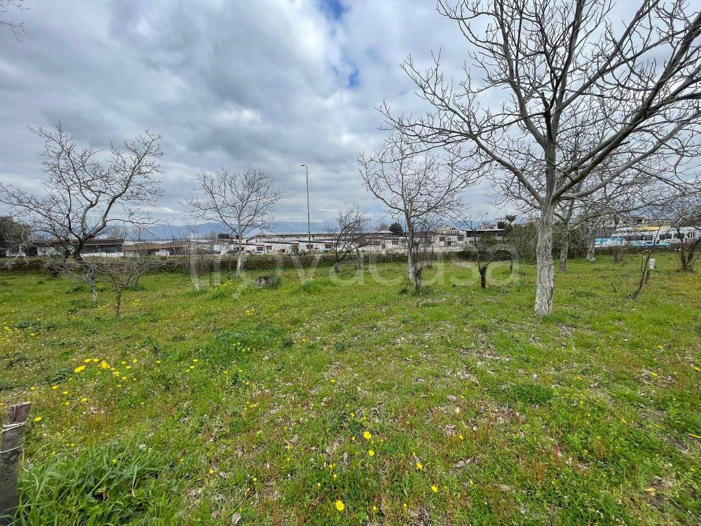 immagine annuncio 1 di 8