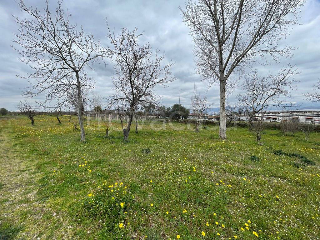 immagine annuncio 2 di 8