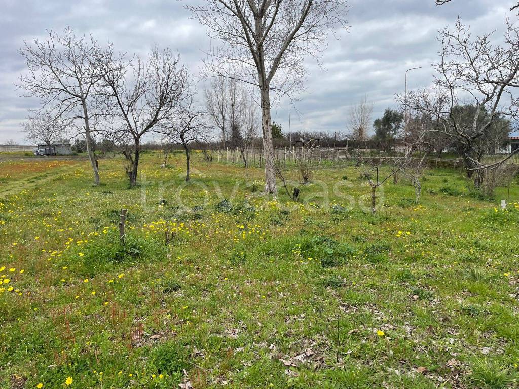 immagine annuncio 3 di 8