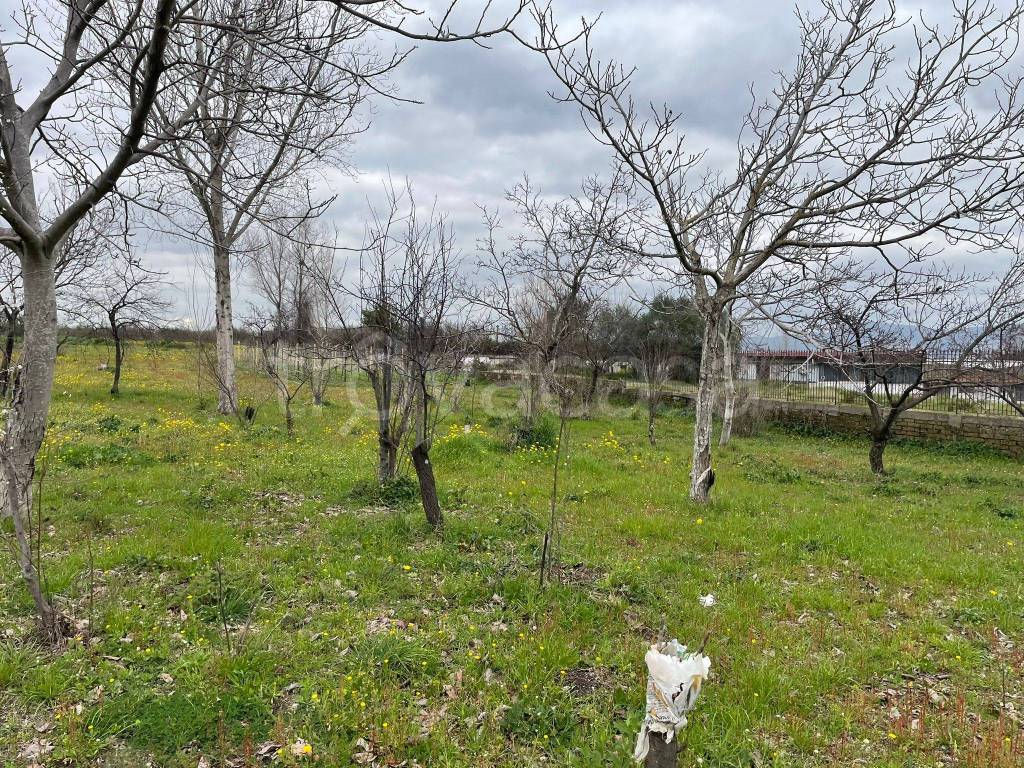 immagine annuncio 4 di 8