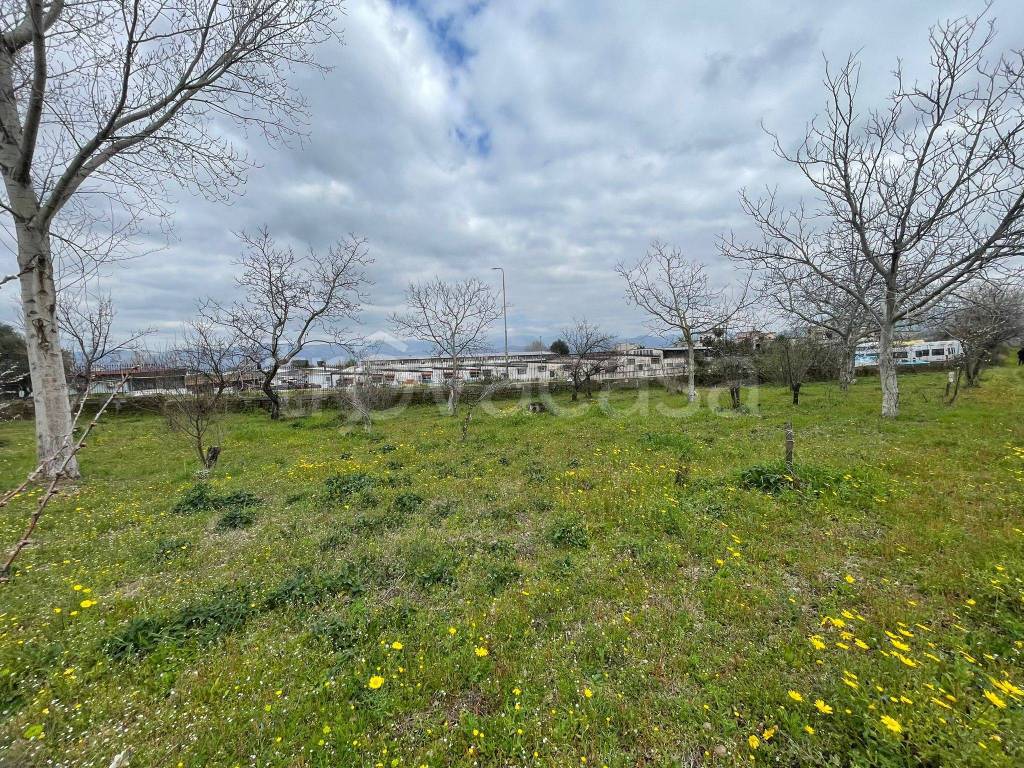 immagine annuncio 6 di 8