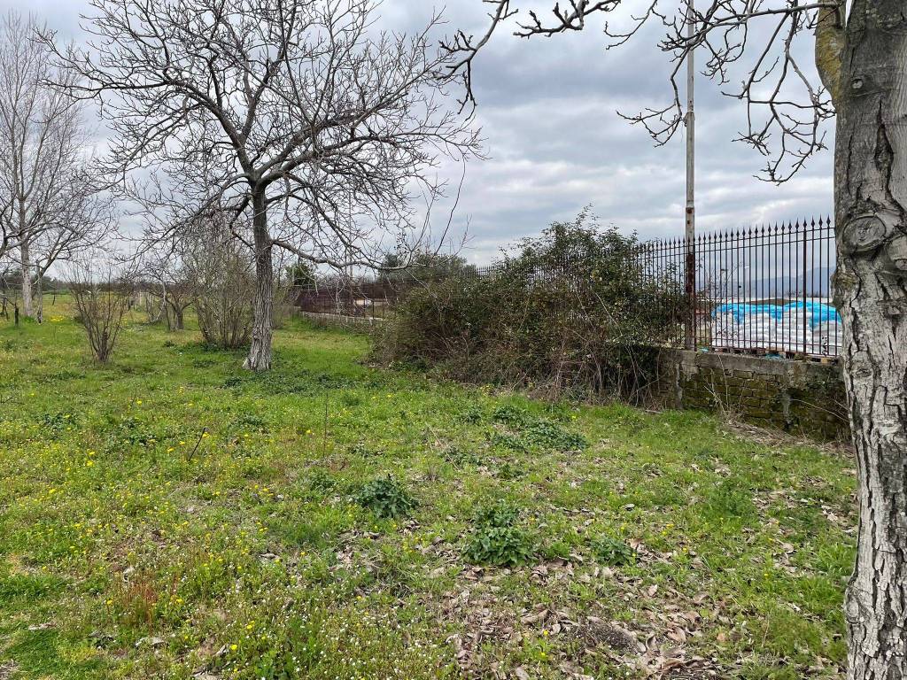 immagine annuncio 7 di 8