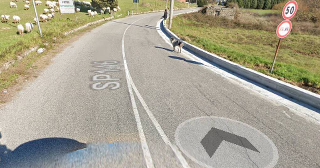 immagine annuncio 3 di 10