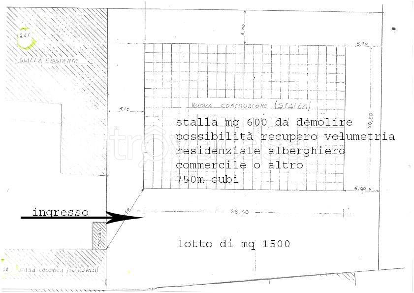 immagine annuncio 14 di 15