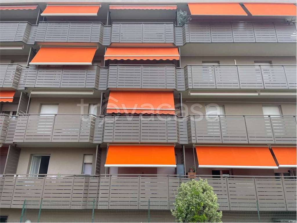 immagine annuncio 1 di 12