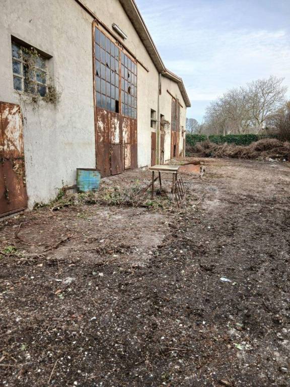 immagine annuncio 7 di 15