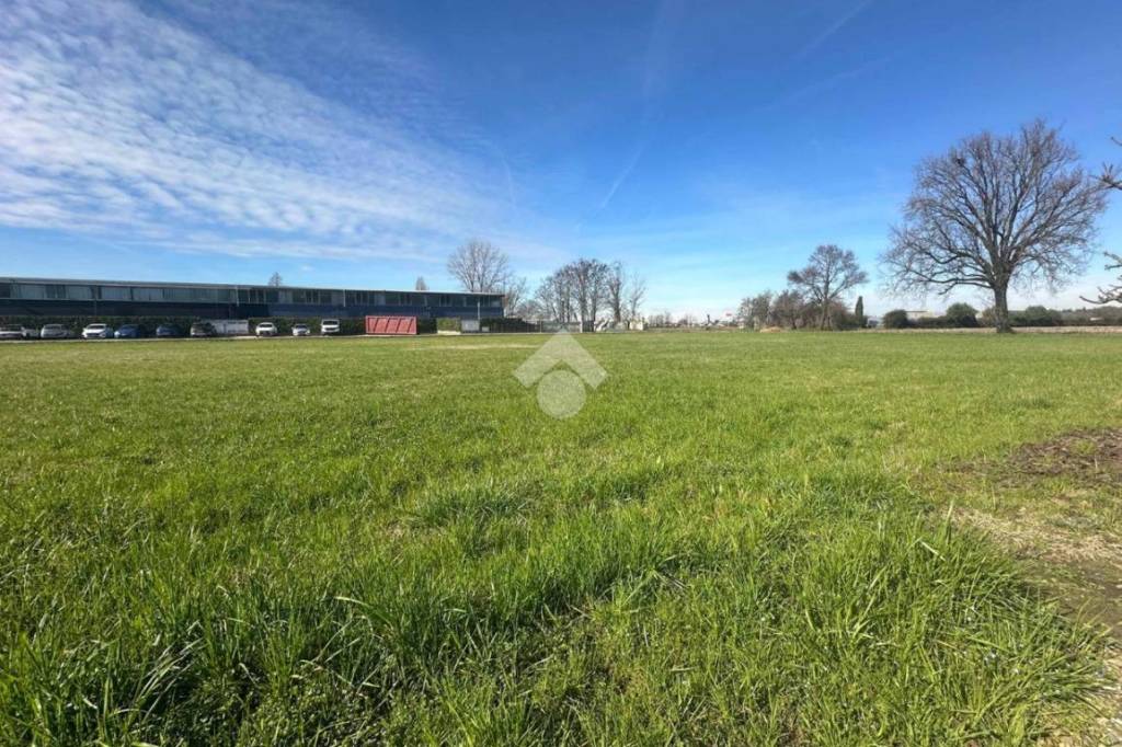 immagine annuncio 2 di 14