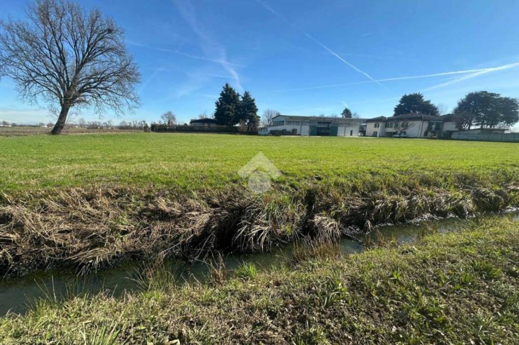 immagine annuncio 3 di 14