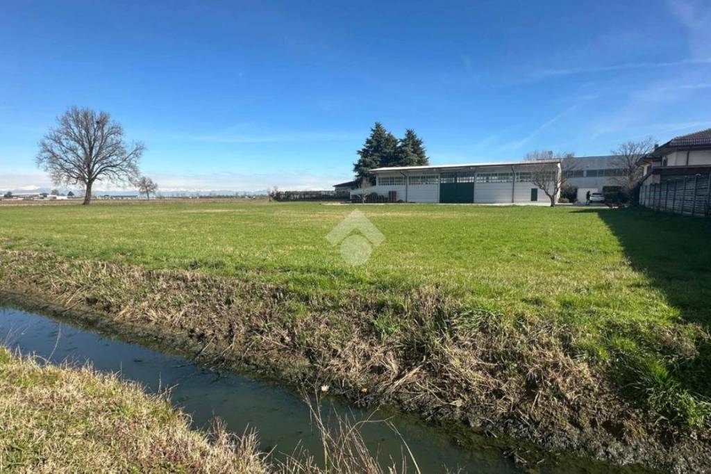 immagine annuncio 4 di 14