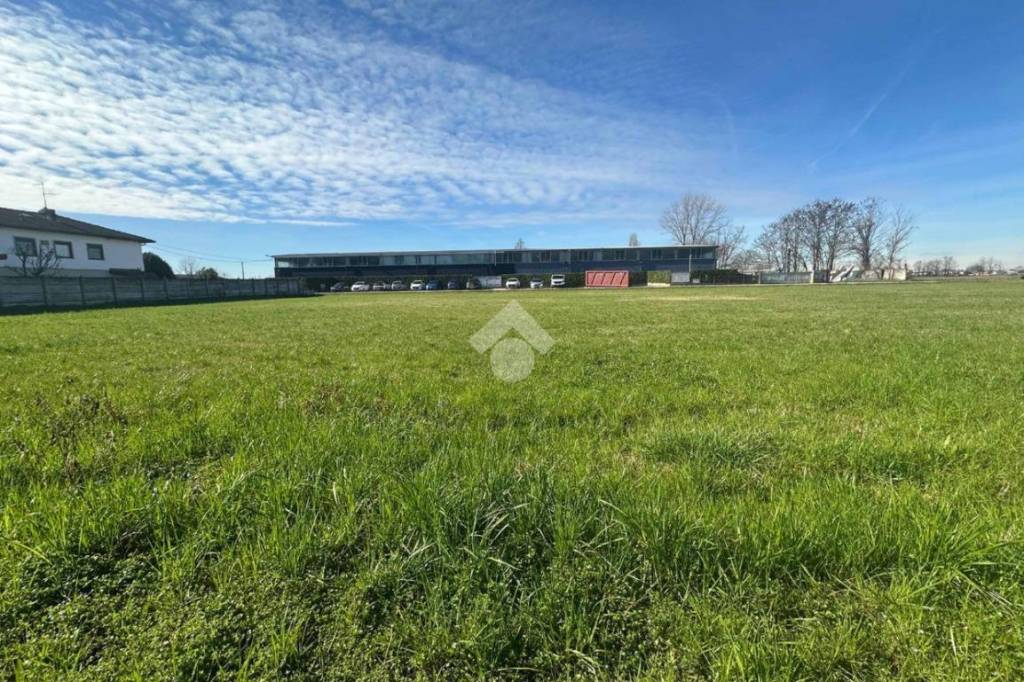 immagine annuncio 6 di 14