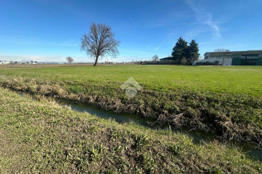 immagine annuncio 11 di 14