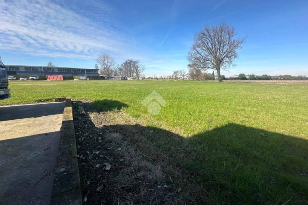 immagine annuncio 12 di 14