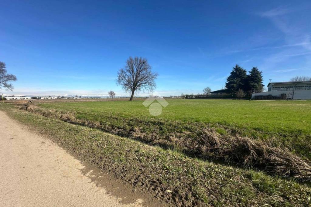 immagine annuncio 13 di 14