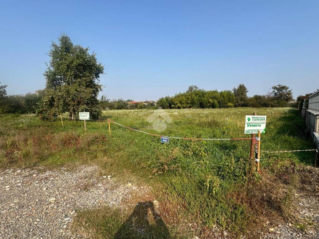 immagine annuncio 12 di 15