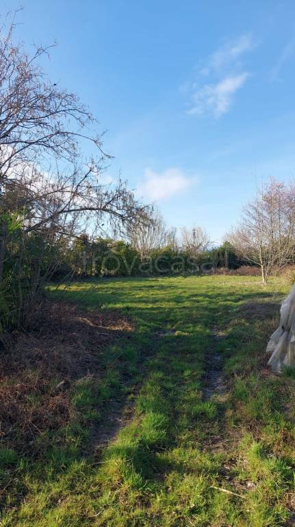 immagine annuncio 11 di 13