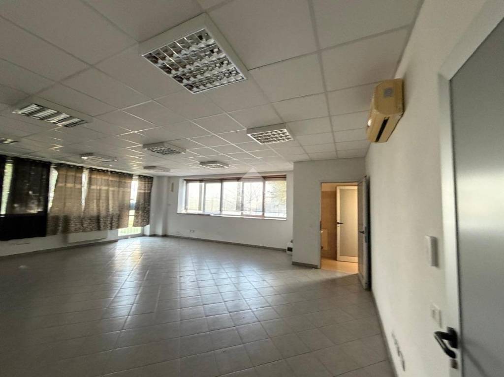 immagine annuncio 4 di 14