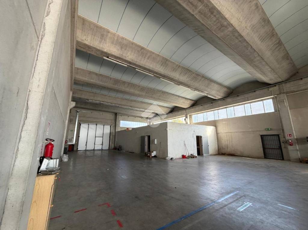 immagine annuncio 2 di 14