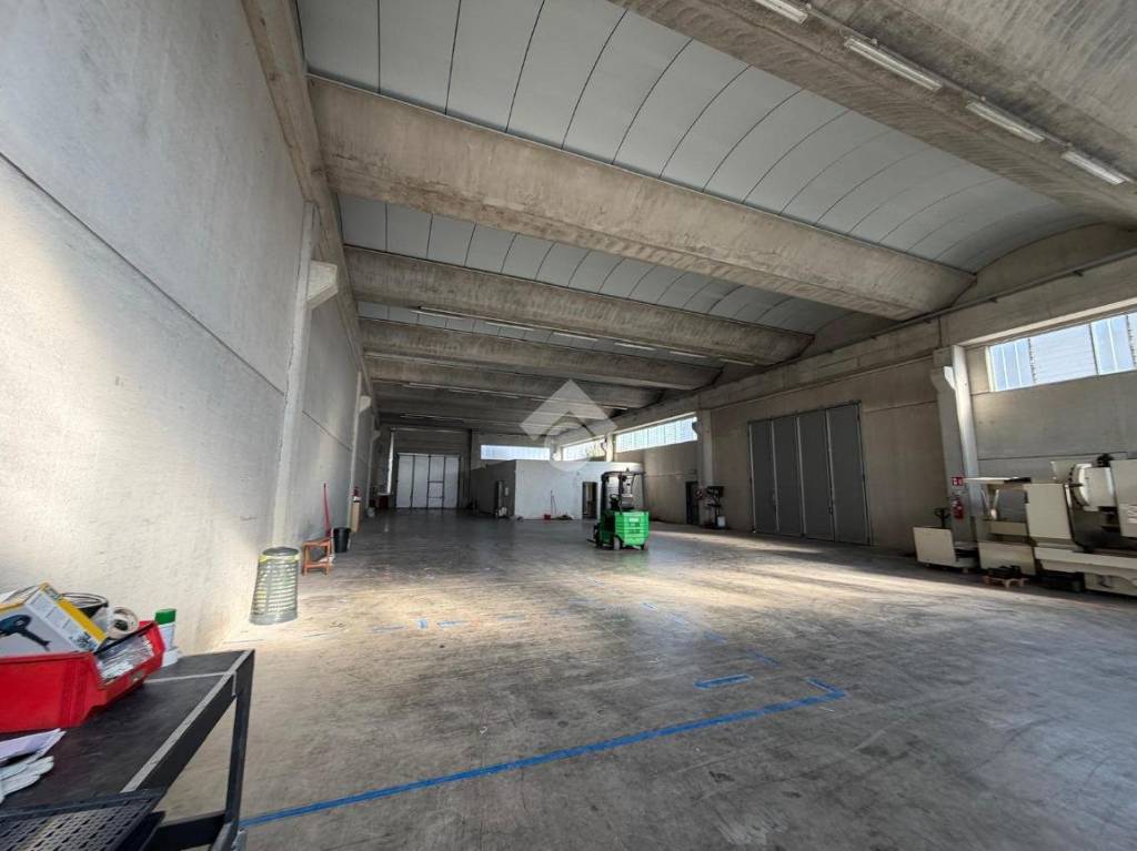 immagine annuncio 6 di 14