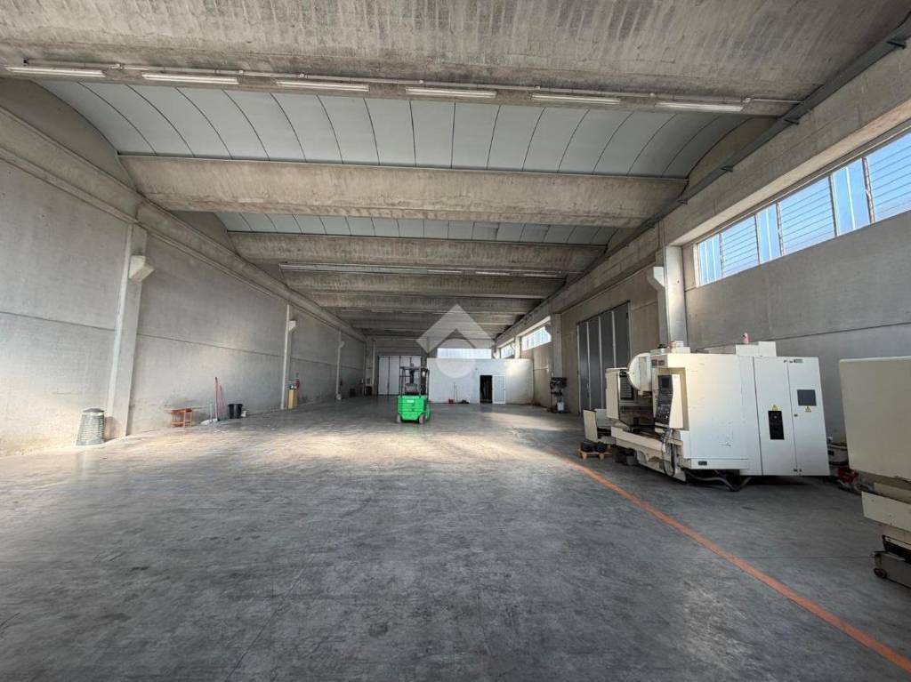 immagine annuncio 9 di 14