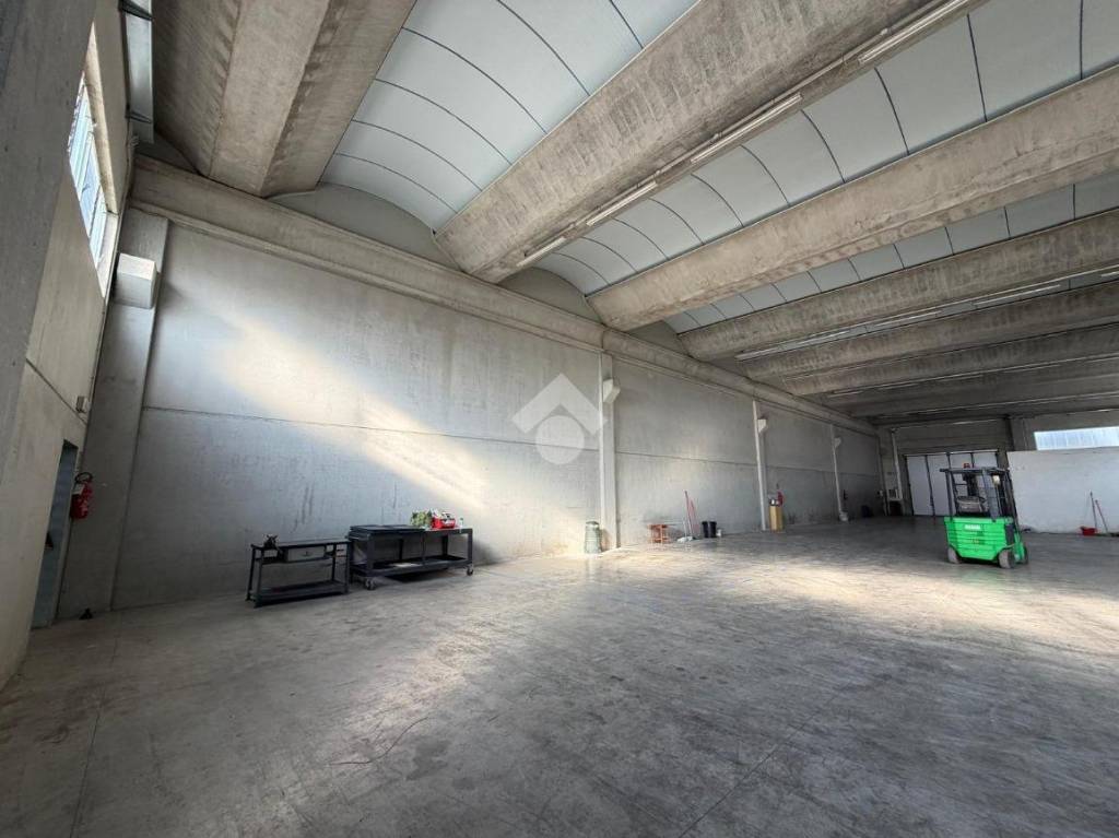 immagine annuncio 10 di 14